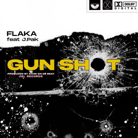 Gun Shot (feat. J.Pak)