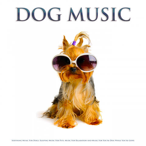 Dog Music: Soothing Music For Dogs, Sleeping Music For Pets, Music For Relaxation and Music For You’re Dog While You’re Gone