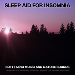Sleep Music
