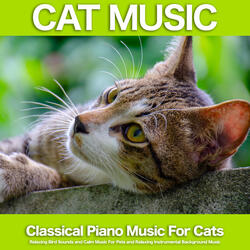 Tale Of Distant Lands - Schumann - Nature Sounds and Classical Piano - Background Classical Music and Bird Sounds - Cat Music - Relaxing Music For Cats