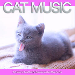 Sleeping Music For Cats