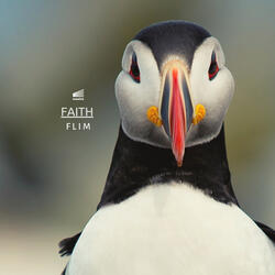 FAITH