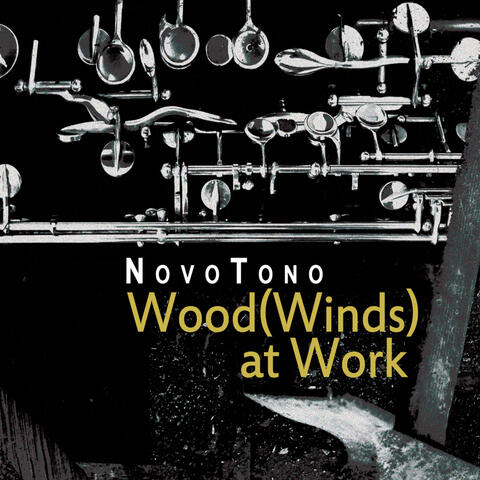 Wood(Winds) at Work