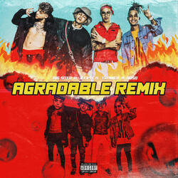Agradable (feat. Trainer)
