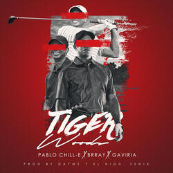 Tiger (feat. Gaviria)