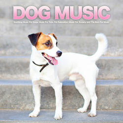 Sleeping Music for Dogs
