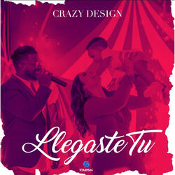 Llegaste Tu