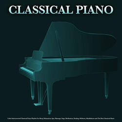 Moonlight Sonata - Beethoven - Classical Piano - Instrumental Classical Music - Classical Playlist - Sleeping Music - Music For Relaxation