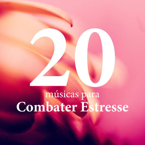 Spa Music Collective & Notas de Relaxamento