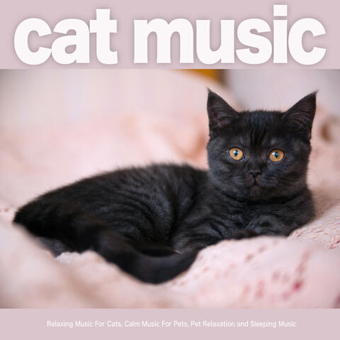 Cat Music: Relaxing Music For Cats, Calm Music For Pets, Pet Relaxation and Sleeping Music