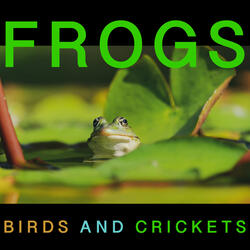 Frogs and Birds at the Pond
