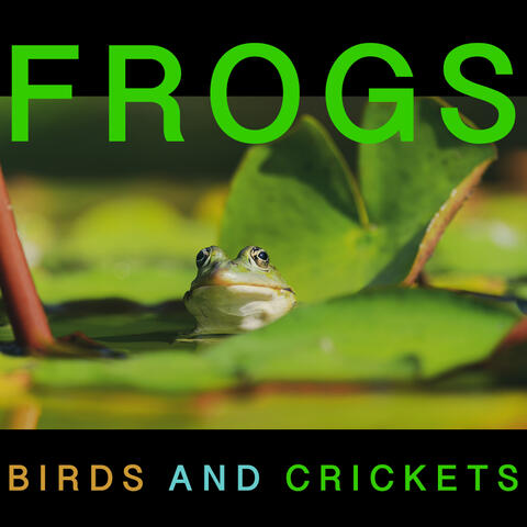 Frogs, Birds and Crickets