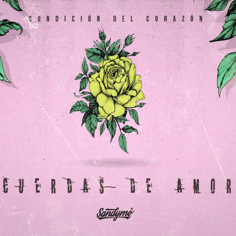 Cuerdas de Amor