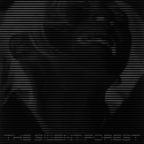 The Silent Forest ( Original Motion Picture Soundtrack )