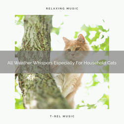 Calming Nature Sounds For Beloved Cats