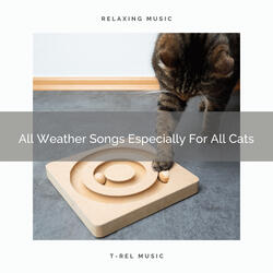 Relaxing Leaves Noises For Your Cats