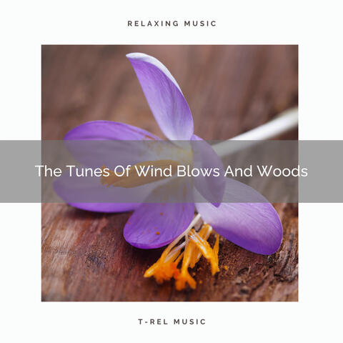 The Tunes Of Wind Blows And Woods