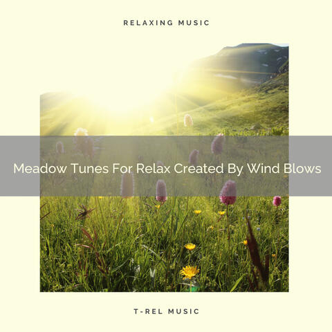 Meadow Tunes For Relax Created By Wind Blows