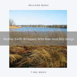 Mother Earth Sings With Flowing Water And Bird Songs