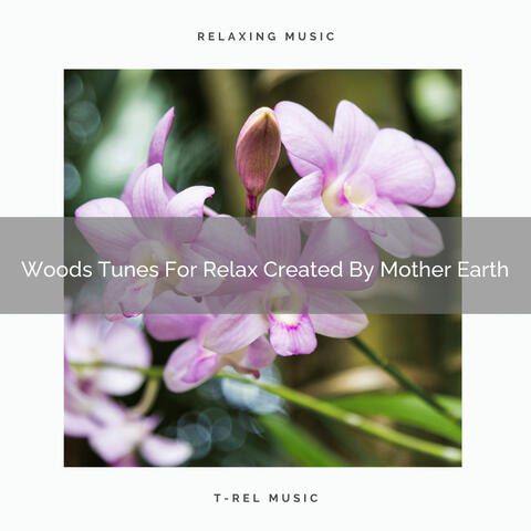 Woods Tunes For Relax Created By Mother Earth