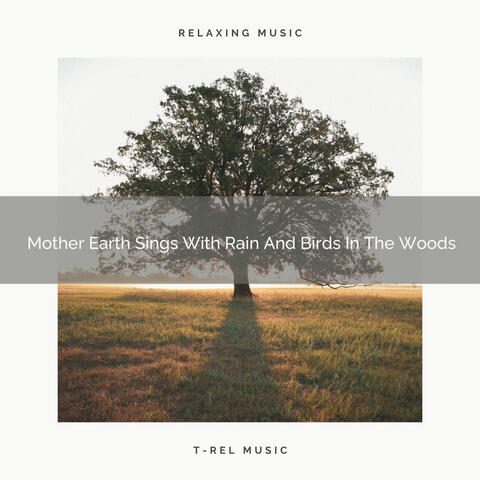 Mother Earth Sings With Rain And Birds In The Woods