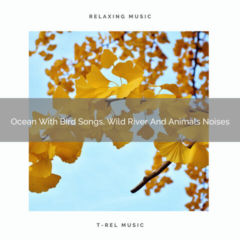 Ocean With Bird Songs, Wild River And Animals Noises