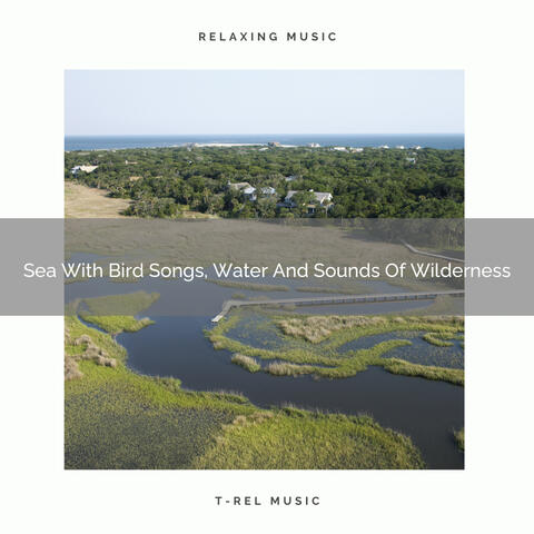 Sea With Bird Songs, Water And Sounds Of Wilderness