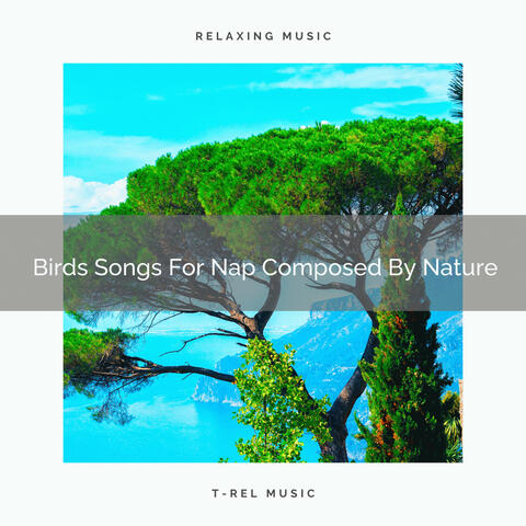 Birds Songs For Nap Composed By Nature