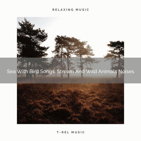 Sea With Bird Songs, Stream And Wild Animals Noises
