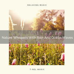 Meadow Sounds For Nap Created By Wind Blows