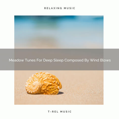 Meadow Tunes For Deep Sleep Composed By Wind Blows