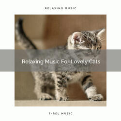 Relaxing Tunes For Couch Cats