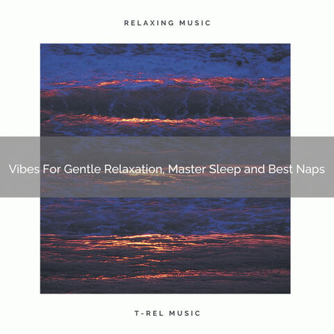 Vibes For Gentle Relaxation, Master Sleep and Best Naps