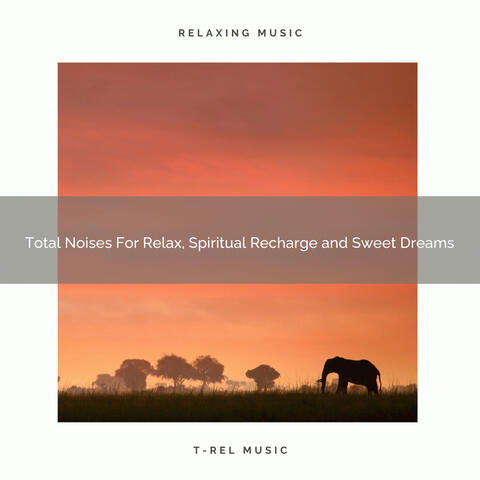 Total Noises For Relax, Spiritual Recharge and Sweet Dreams
