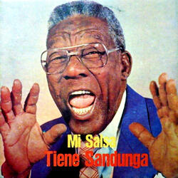 Mi salsa tiene sandunga