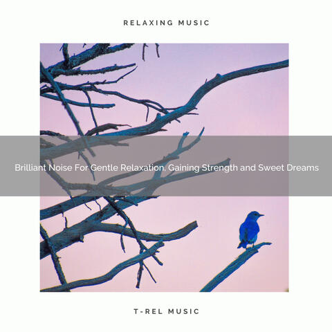 Brilliant Noise For Gentle Relaxation, Gaining Strength and Sweet Dreams