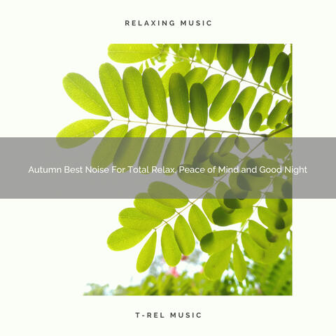Autumn Best Noise For Total Relax, Peace of Mind and Good Night
