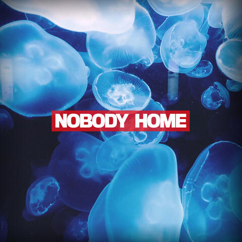 Nobody Home (feat. Cleva Thoughts)