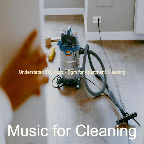 Understated Trio Jazz - Bgm for Apartment Cleaning