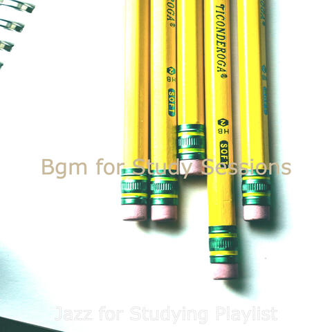 Bgm for Study Sessions