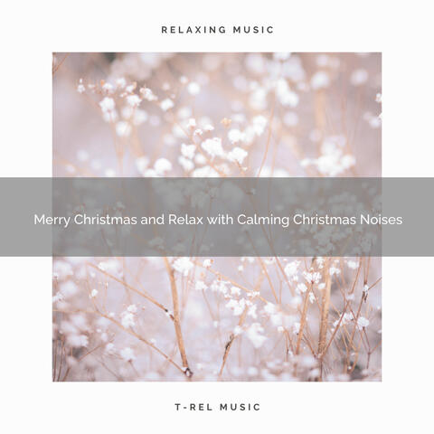 Merry Christmas and Relax with Calming Christmas Noises