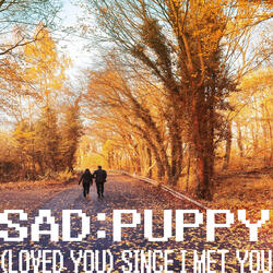 (Loved You) Since I Met You