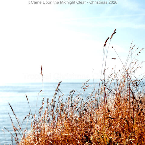 It Came Upon the Midnight Clear - Christmas 2020
