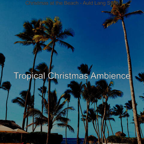 Christmas at the Beach - Auld Lang Syne