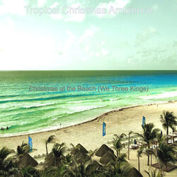 Christmas at the Beach - Carol of the Bells