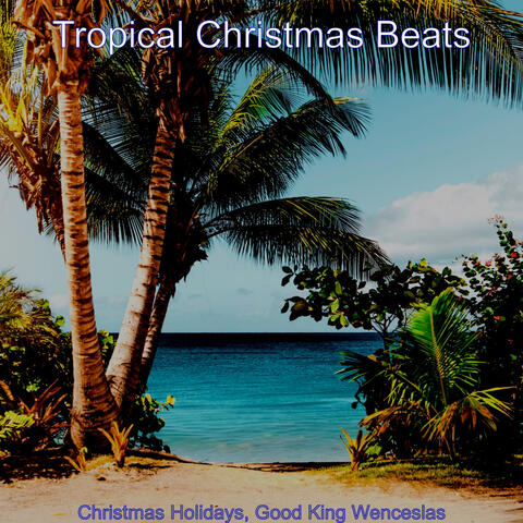 Christmas Holidays, Good King Wenceslas