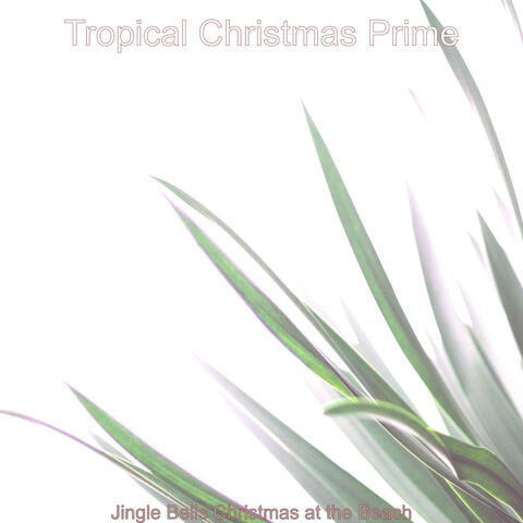 Jingle Bells Christmas at the Beach