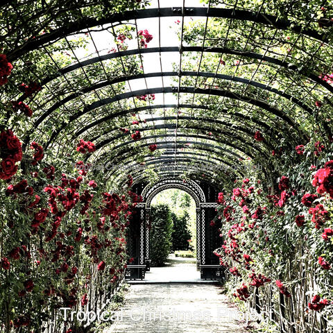 Tropical Christmas - Ding Dong Merrily on High