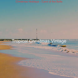 Christmas at the Beach (Auld Lang Syne)