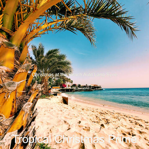 Christmas at the Beach Auld Lang Syne